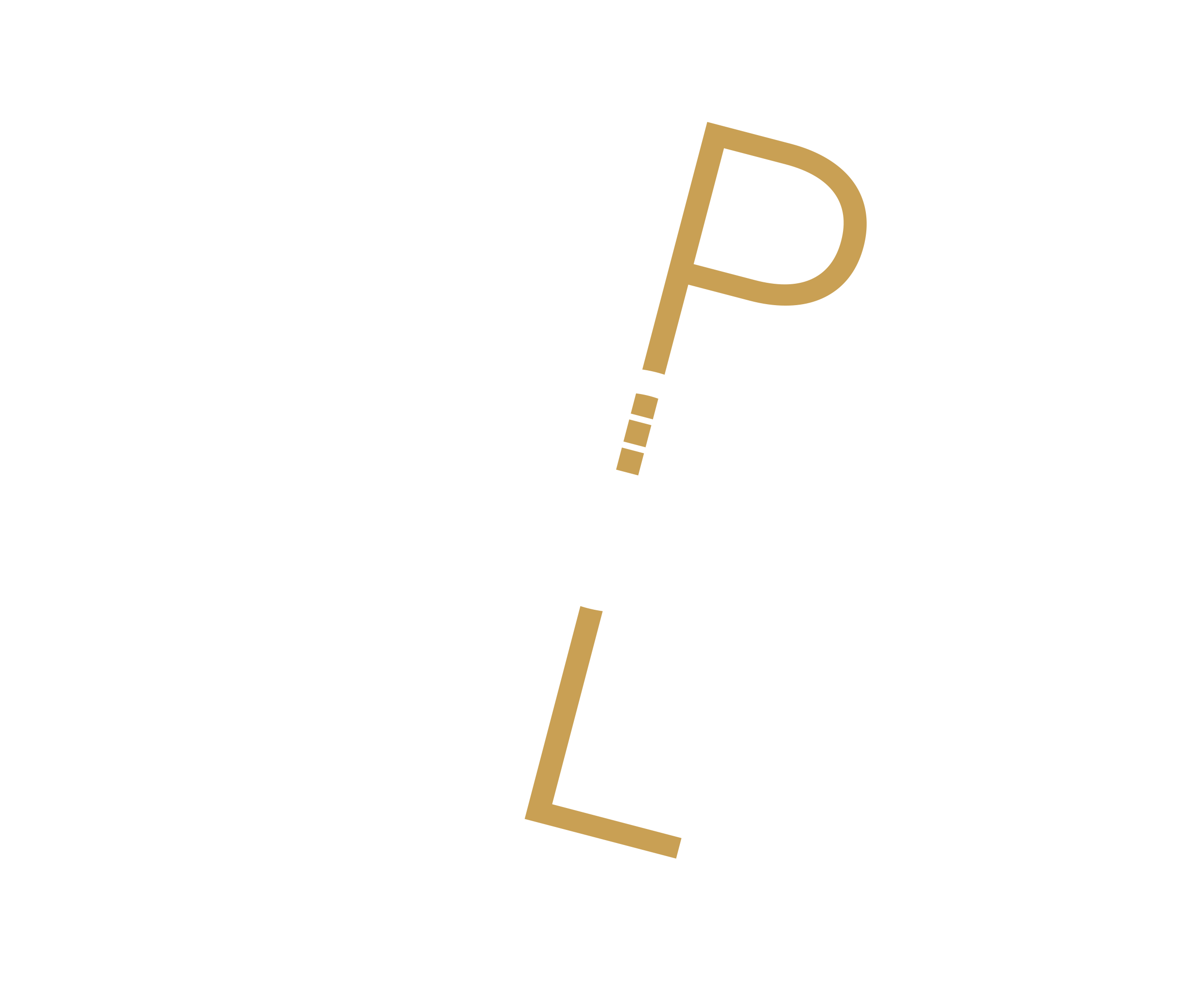 Concept Logo